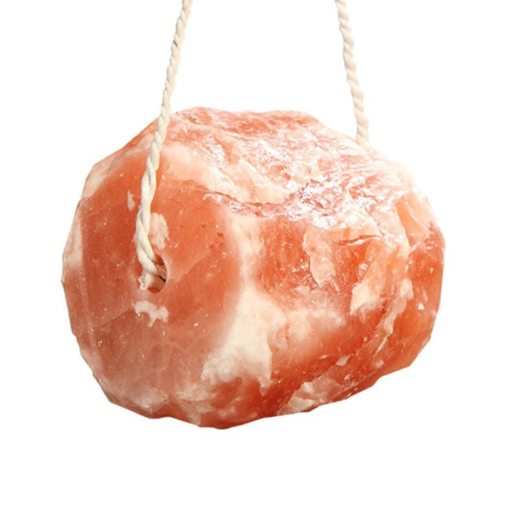 Rosewood Himalayan Salt Lick Stone - The Urban Pet Store - Small Animal Treats