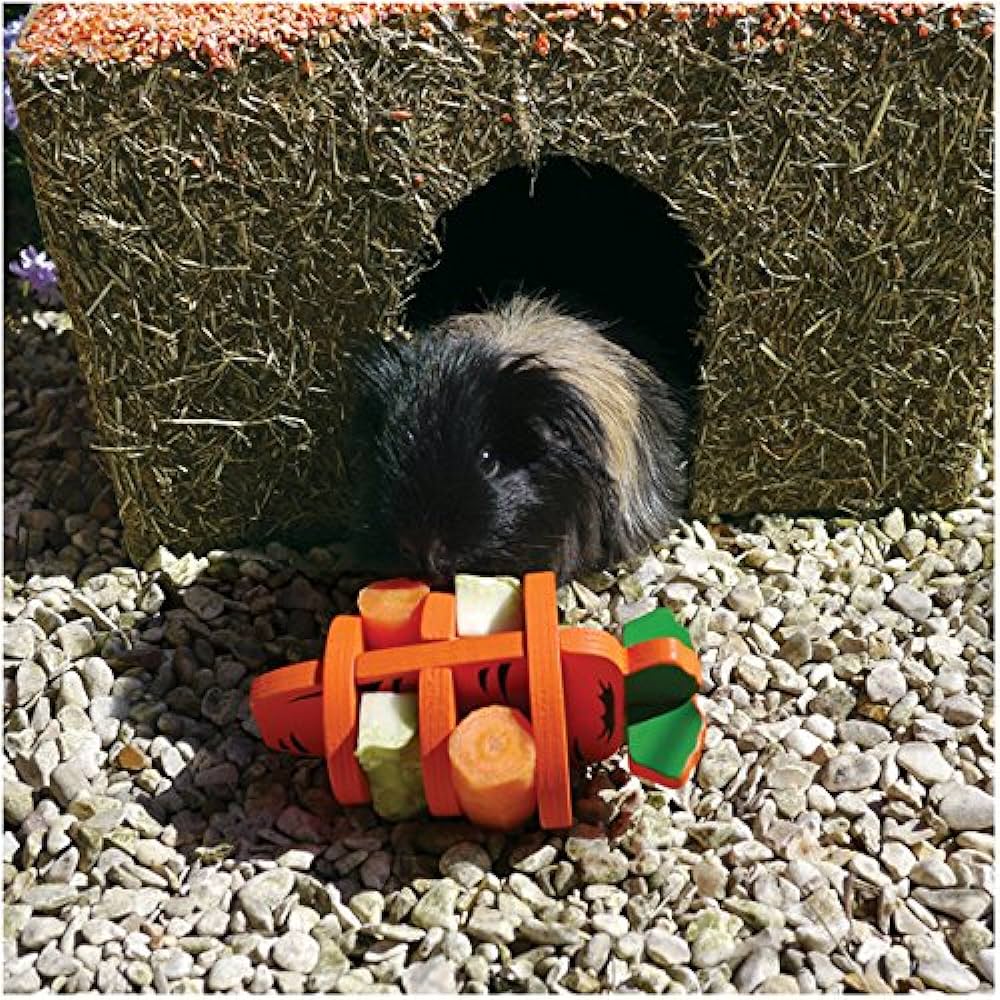 Rosewood Woodies 3D Carrot - The Urban Pet Store - Small Animal Supplies