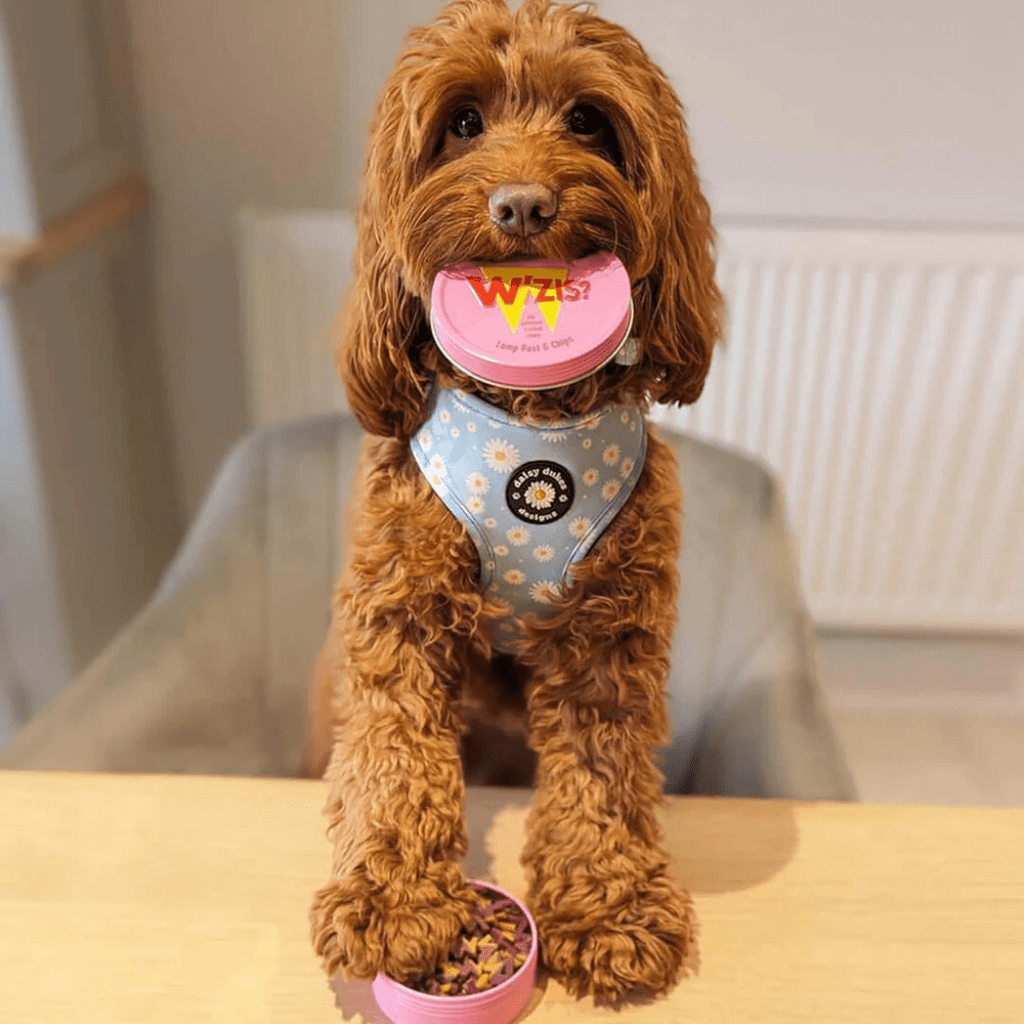 Wzis Lamp Post & Chips Treat Tin 50g - The Urban Pet Store - Dog TreatsW'ZIS5055997305916