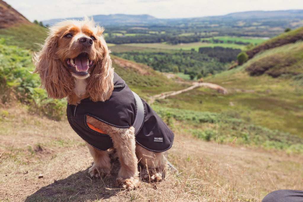 Trespaws Butch - X Dog Waterproof Coat - The Urban Pet Store - Trespaws5045274798593
