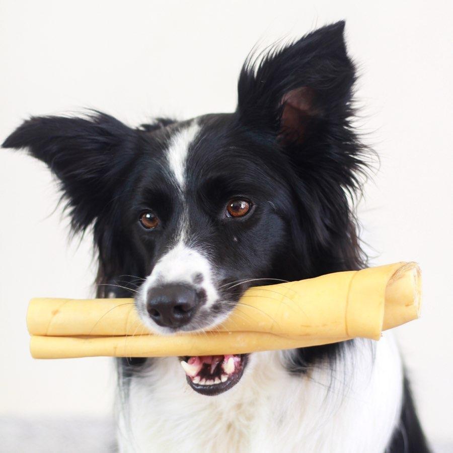 Anco Bully Roll (Beef Skin) - The Urban Pet Store - Dog TreatsAnco12345678185