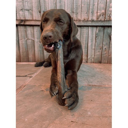 Anco Camel Rolls - The Urban Pet Store - Dog TreatsAnco5060586231507
