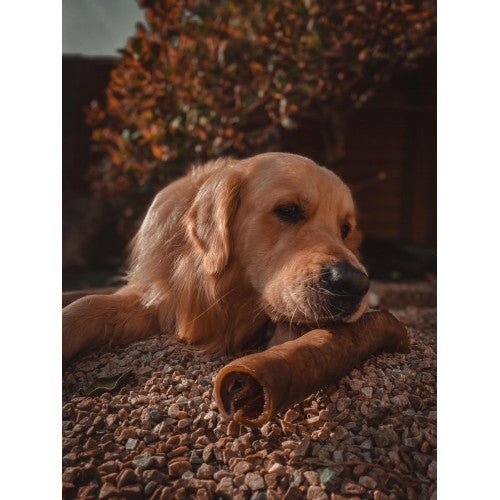Anco Camel Rolls - The Urban Pet Store - Dog TreatsAnco5060586231507