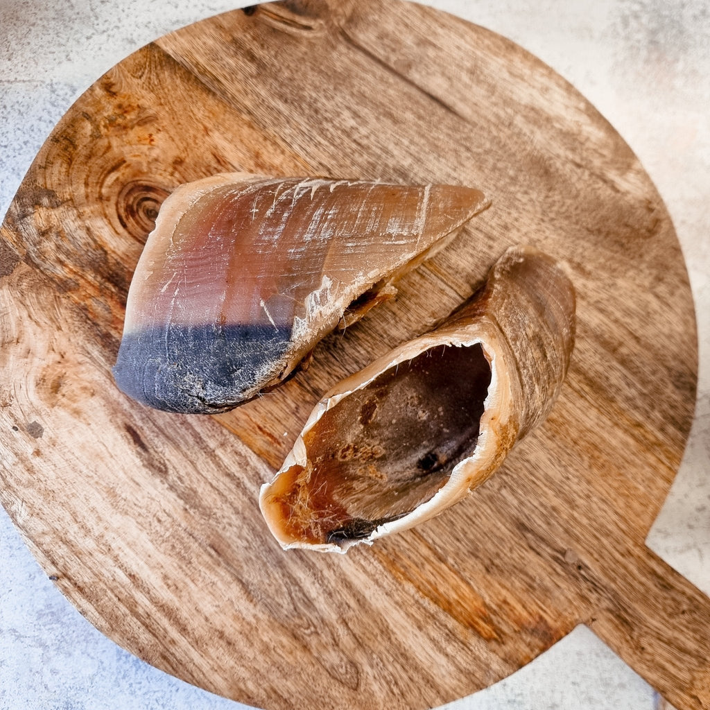 Anco Empty Cow Hooves - The Urban Pet Store - Dog TreatsAnco12345678965