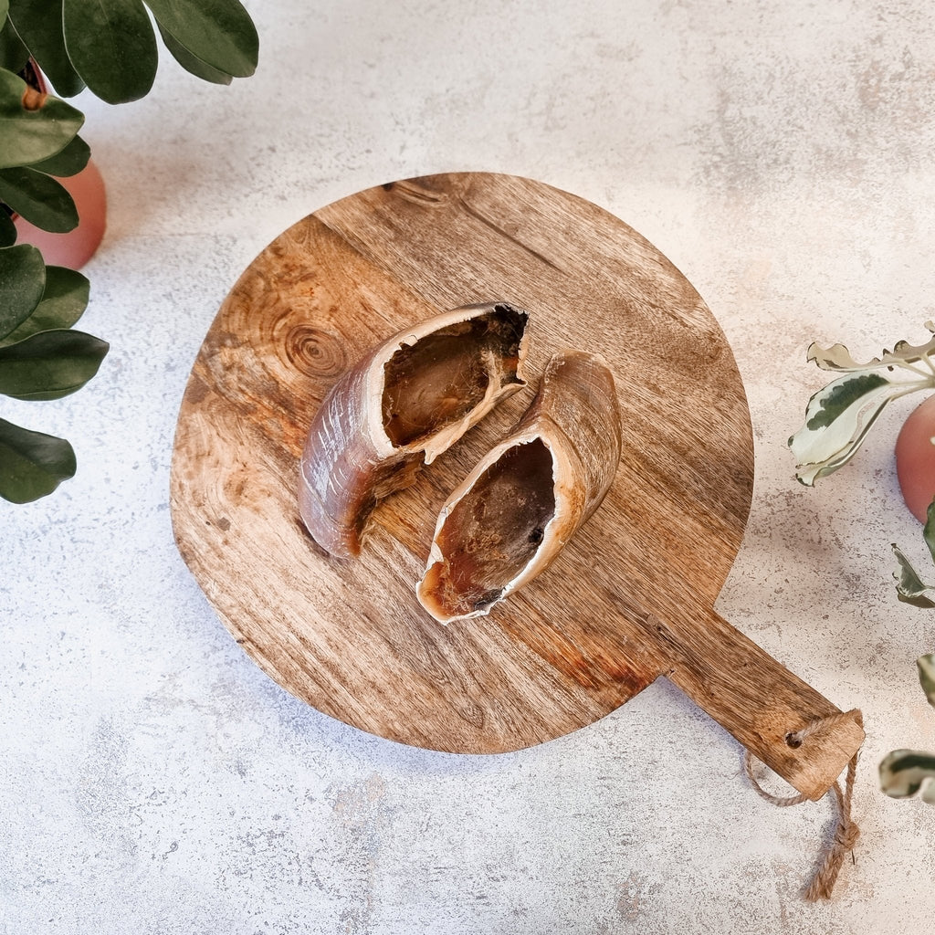 Anco Empty Cow Hooves - The Urban Pet Store - Dog TreatsAnco12345678965