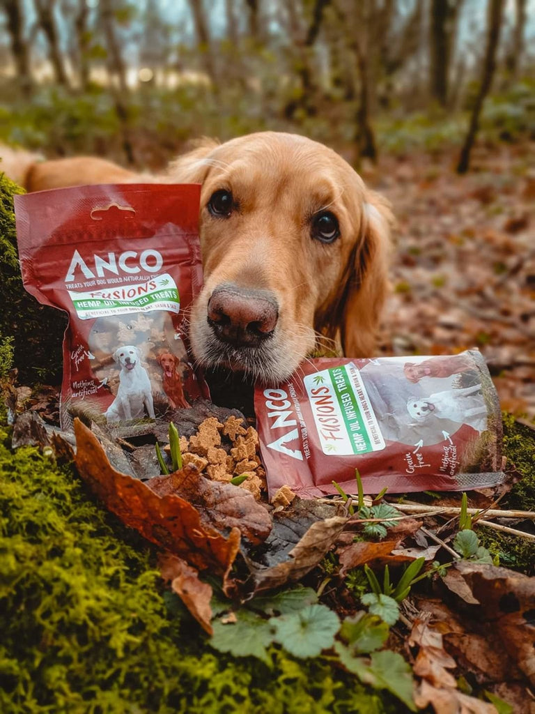 Anco Fusions Hemp Oil Infused Treats 100g - The Urban Pet Store - Dog TreatsAnco5060586230616
