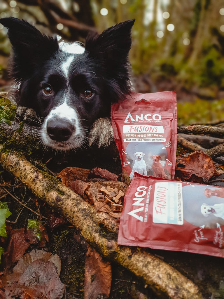 Anco Fusions Ostrich Infused Beef Treats 100g - The Urban Pet Store - Dog TreatsAnco5060586230012