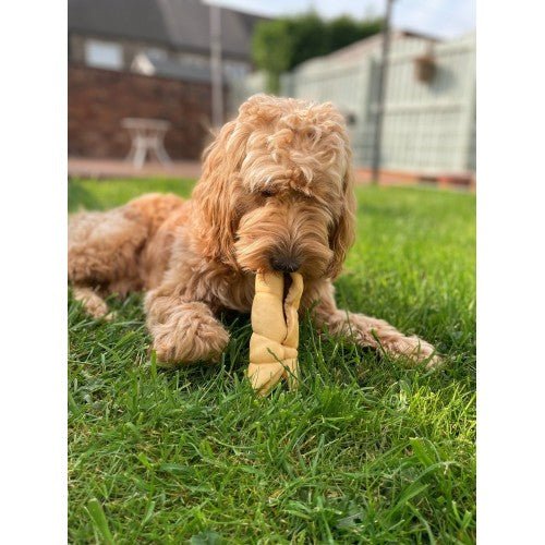 Anco Goat Rolls - The Urban Pet Store - Dog TreatsAnco12345678968