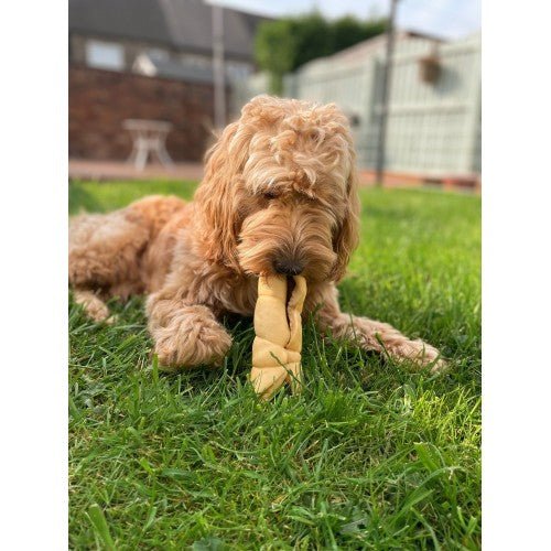 Anco Goat Rolls - The Urban Pet Store - Dog Treats