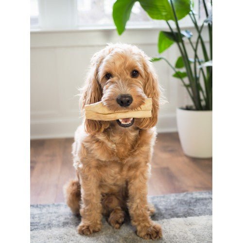 Anco Goat Rolls - The Urban Pet Store - Dog TreatsAnco12345678968