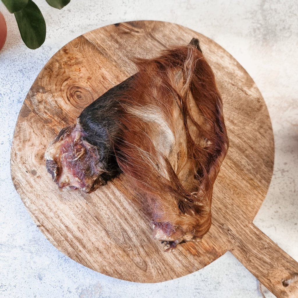 Anco Hairy Cows Ears - The Urban Pet Store - Dog TreatsAnco12345678970