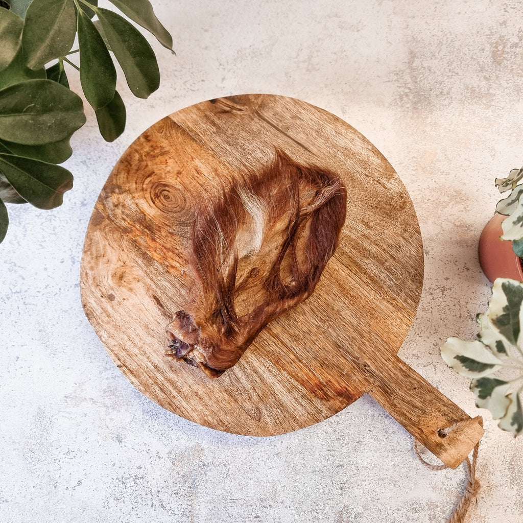 Anco Hairy Cows Ears - The Urban Pet Store - Dog TreatsAnco12345678970