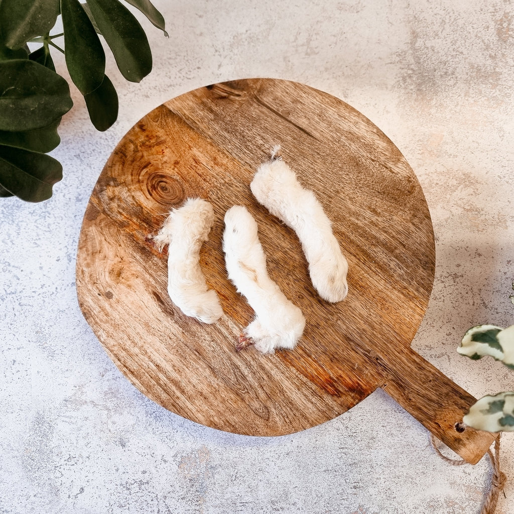 Anco Hairy Rabbit Feet - The Urban Pet Store - Dog TreatsAnco12345678971