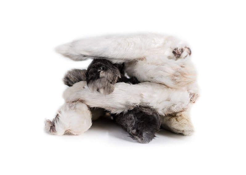 Anco Hairy Rabbit Feet - The Urban Pet Store - Dog Treats
