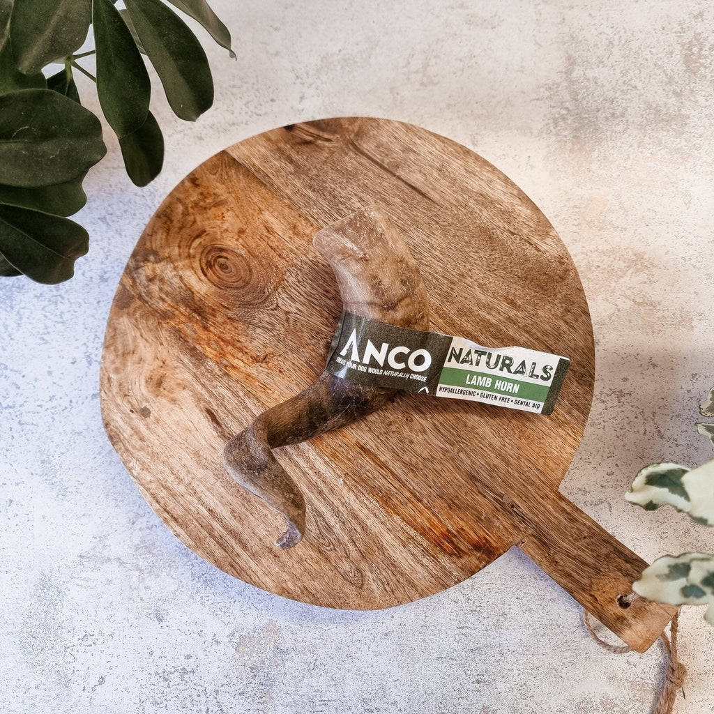 Anco Lamb Horn - The Urban Pet Store - Dog TreatsAnco5060586231385