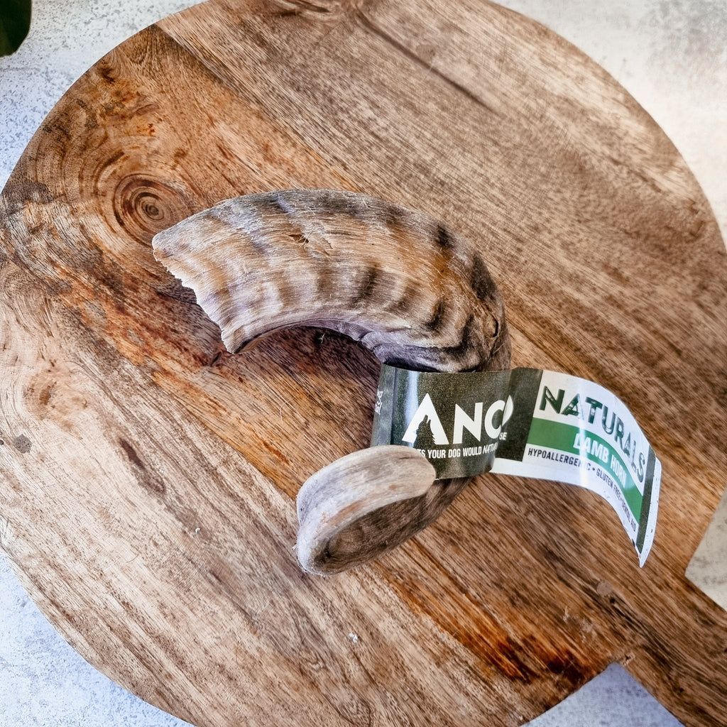 Anco Lamb Horn - The Urban Pet Store - Dog TreatsAnco5060586231385