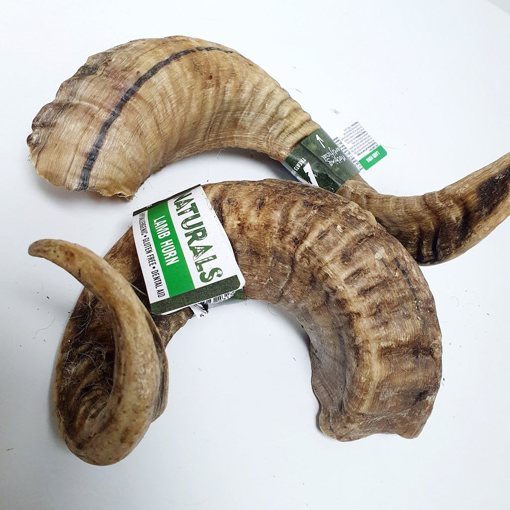 Anco Lamb Horn - The Urban Pet Store - Dog Treats