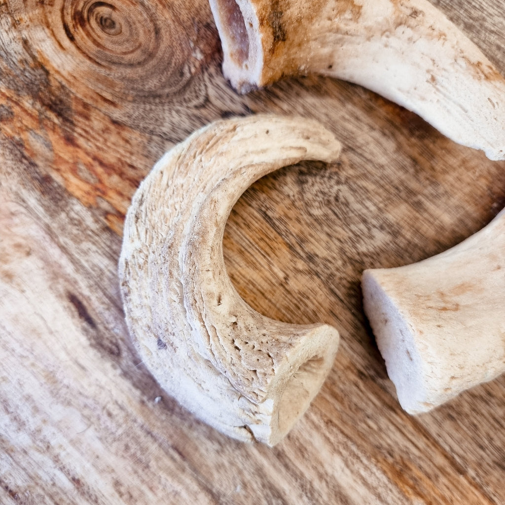 Anco Lamb Horn Marrows - The Urban Pet Store - Dog TreatsAnco12345678972