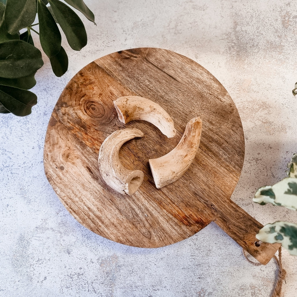 Anco Lamb Horn Marrows - The Urban Pet Store - Dog TreatsAnco12345678972