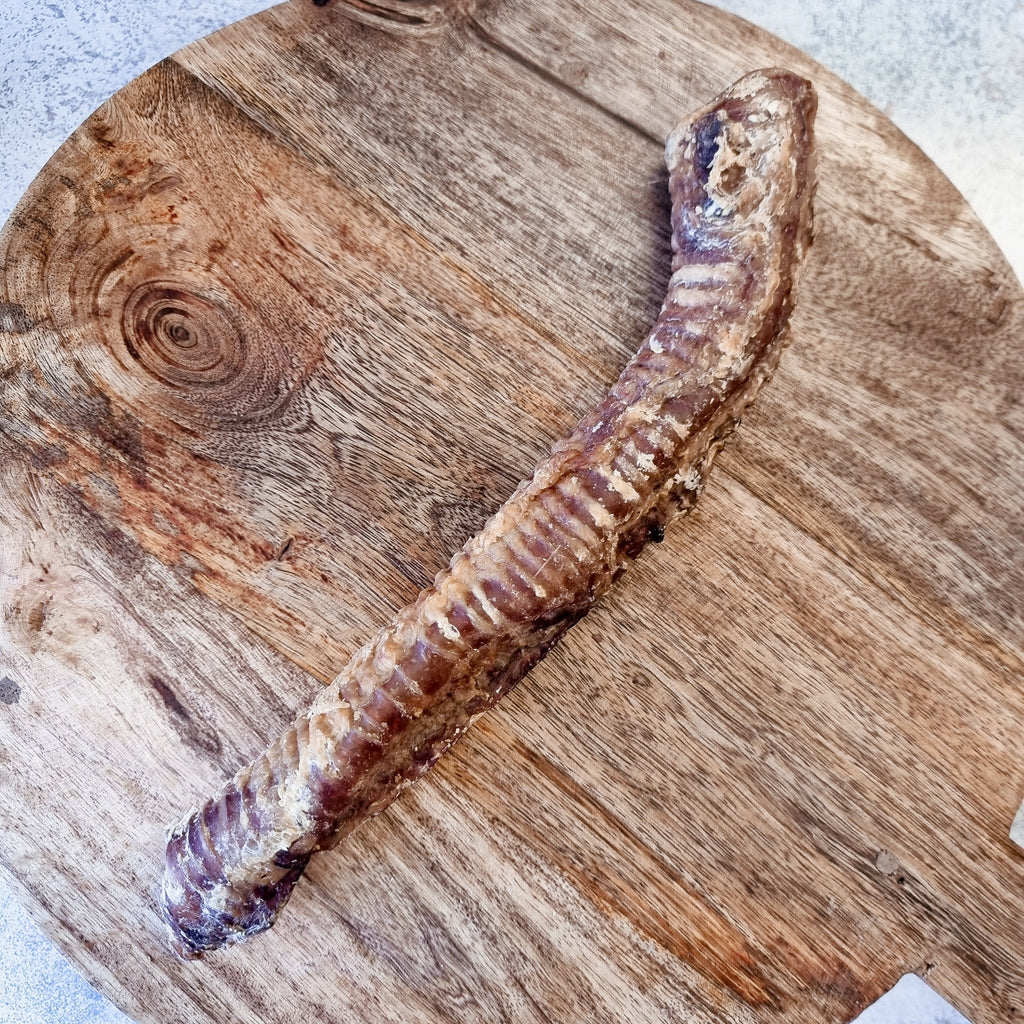 Anco Lamb Trachea - The Urban Pet Store - Dog Treats