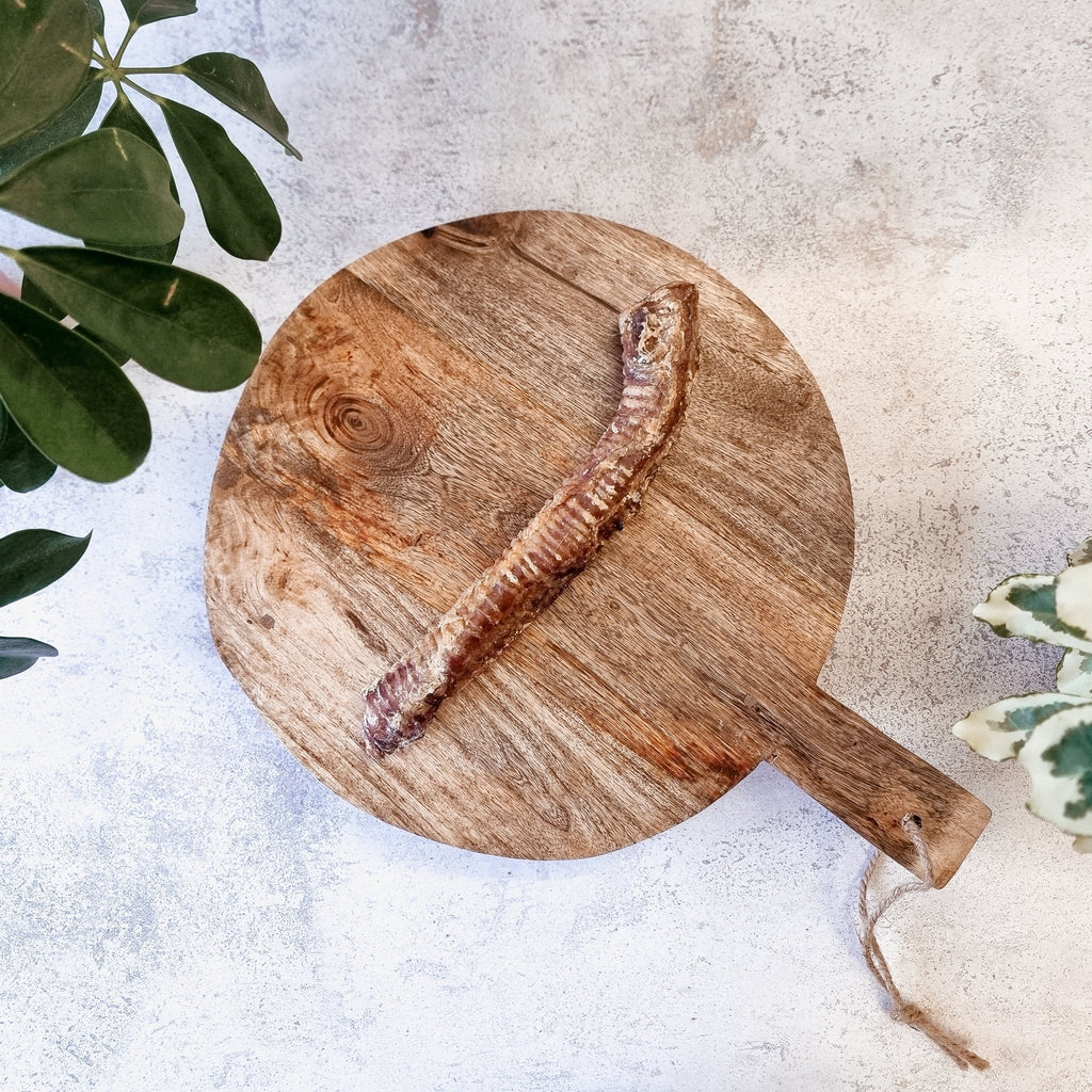 Anco Lamb Trachea - The Urban Pet Store - Dog TreatsAnco12345678973