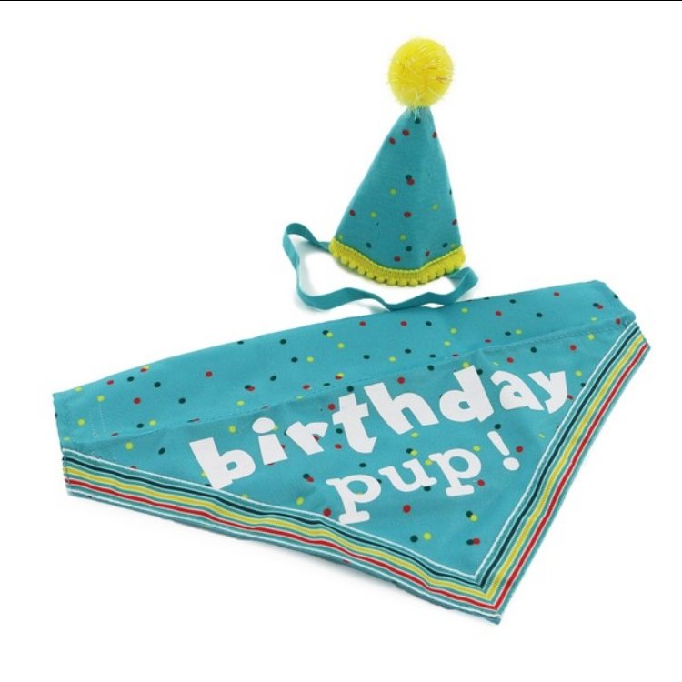 Ancol Birthday Hat & Bandana - Blue - The Urban Pet Store - Dog ApparelAncol5016646190376