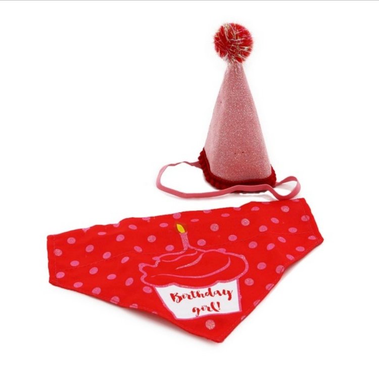 Ancol Birthday Hat & Bandana - Pink - The Urban Pet Store - Dog Apparel