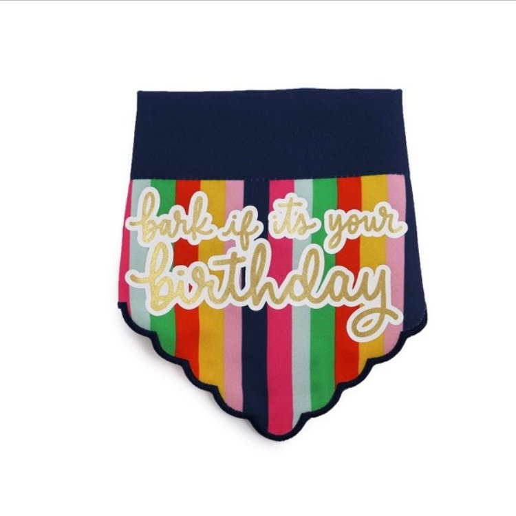 Ancol Pawty Bandana - The Urban Pet Store - Dog ApparelAncol5016646019066