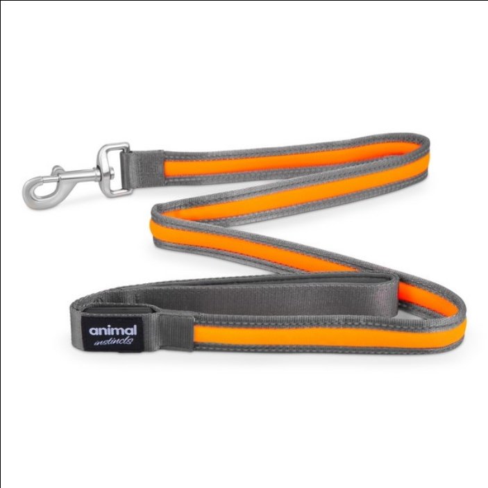 Animal Instincts Flashing Safety USB Nylon Leash Grey/Orange 1.2m - The Urban Pet Store - Dog Apparel
