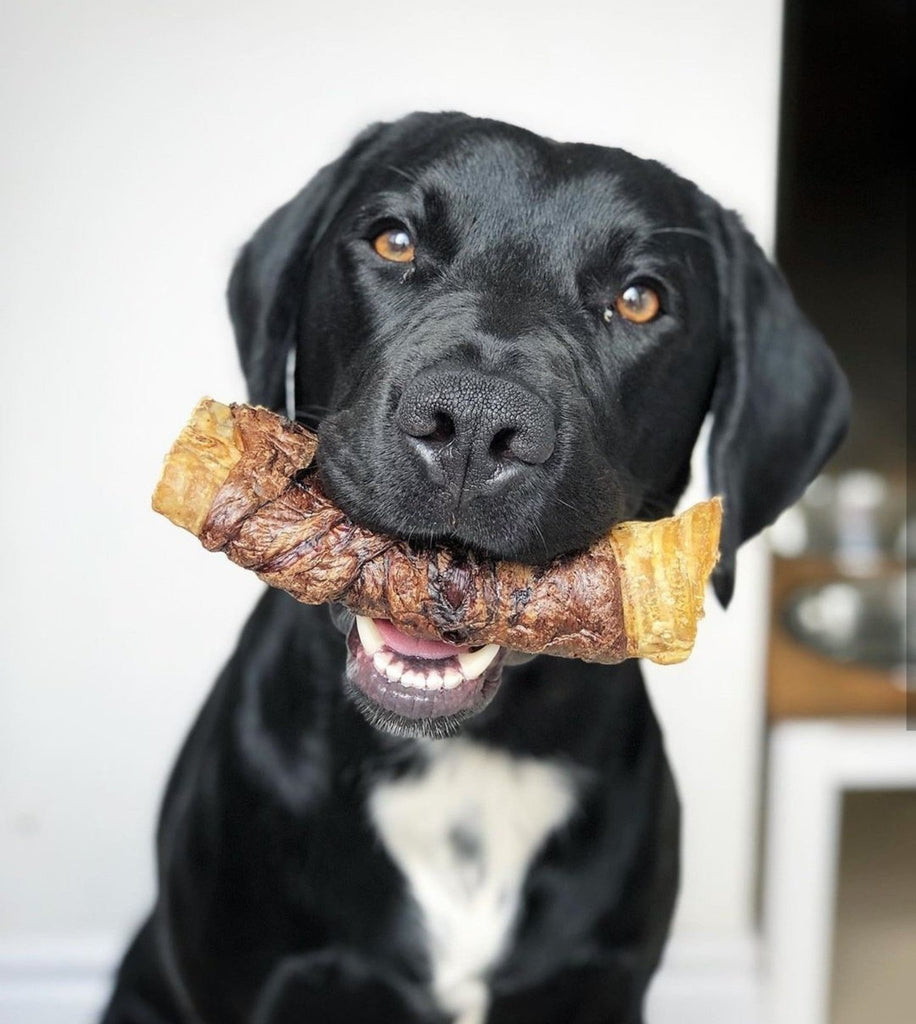 Buffalo Trachea Wrapped with Buffalo Lung - The Urban Pet Store - Dog TreatsSniffers Pet Care12345678106