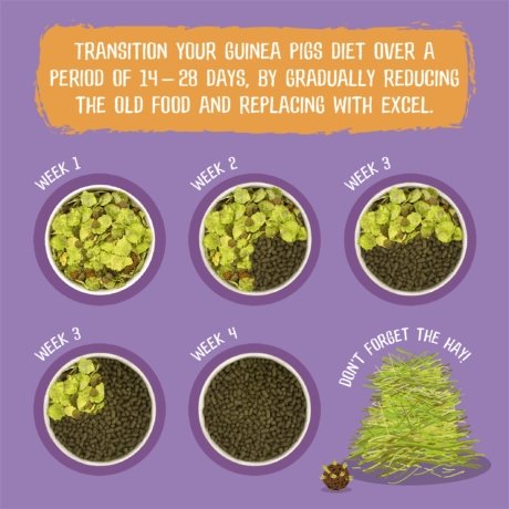 Burgess Excel Guinea Pig Nuggets with Blackcurrant & Oregano - The Urban Pet Store - Small Animal FoodBurgess5023861001769