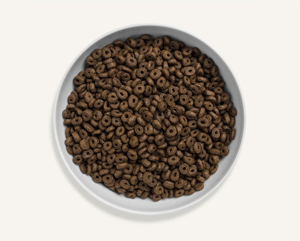 Canagan Small Breed Scottish Salmon Dog Food - The Urban Pet Store - Dog FoodCanagan5029040011451