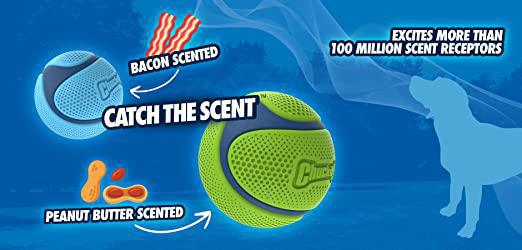 Chuckit! Sniff Fetch Ball Bacon Medium 1pk - The Urban Pet Store - Dog ToysChuckit!029695332074