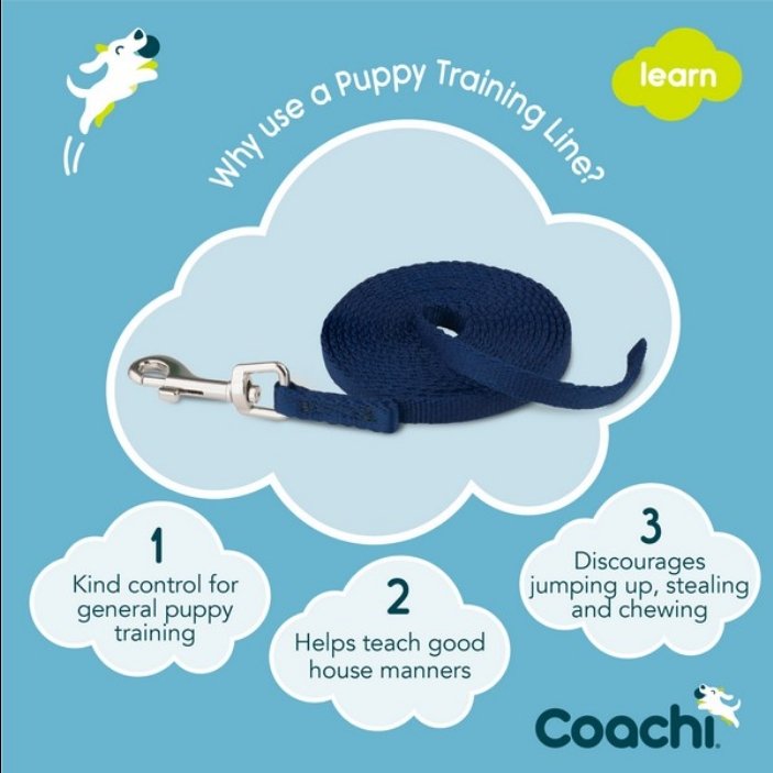 CoA Coachi Puppy Training Line Navy 2.5m - The Urban Pet Store - Dog Supplies