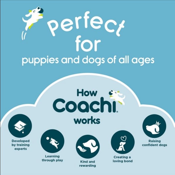 CoA Coachi Puppy Training Line Navy 2.5m - The Urban Pet Store - Dog Supplies