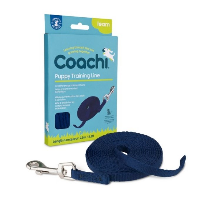 CoA Coachi Puppy Training Line Navy 2.5m - The Urban Pet Store - Dog SuppliesCoachi886284412209