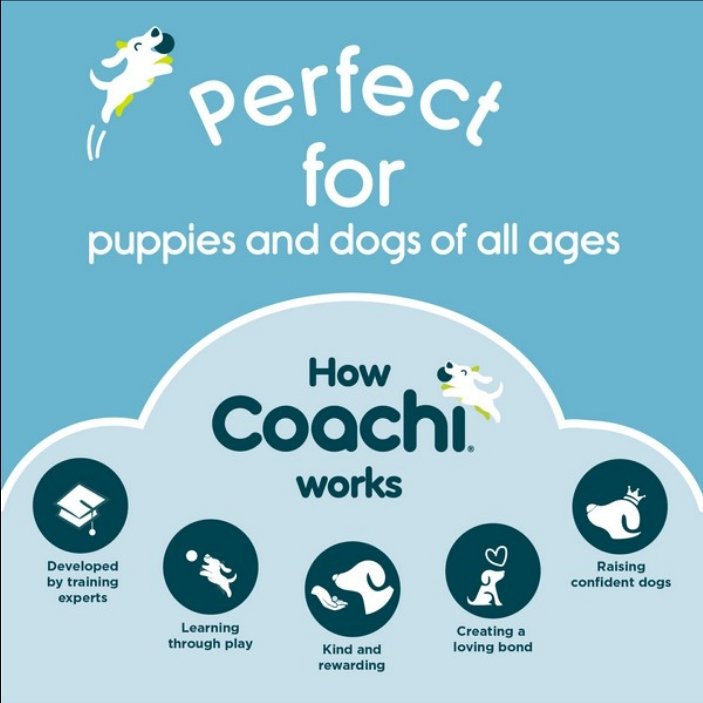 CoA Coachi Training Line Navy & Coral 10m - The Urban Pet Store - Dog Supplies