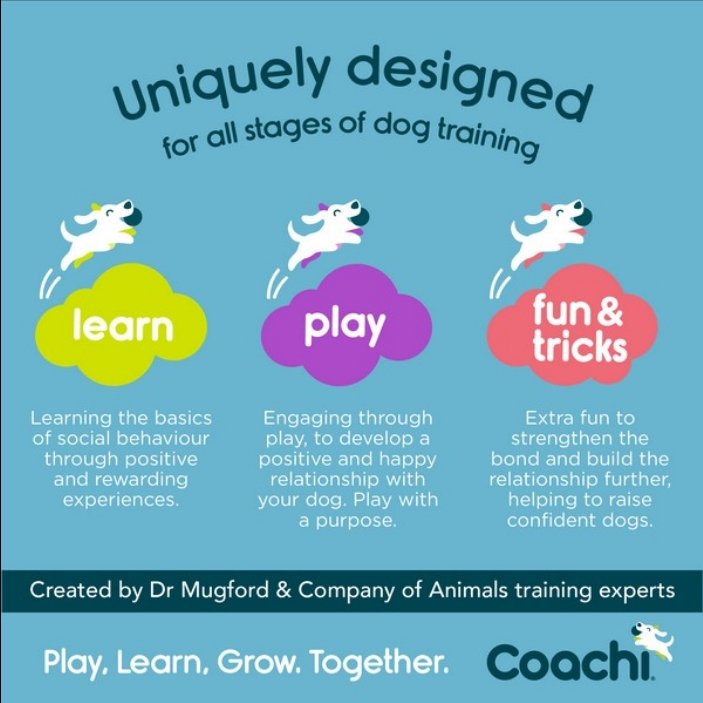 CoA Coachi Training Line Navy & Lime 5m - The Urban Pet Store - Dog SuppliesCoachi886284412315