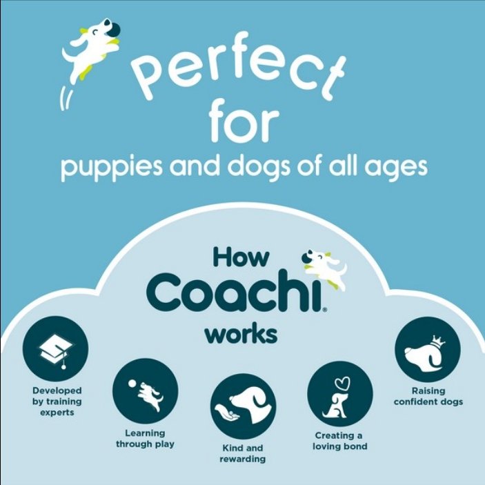 CoA Coachi Training Line Navy & Lime 5m - The Urban Pet Store - Dog SuppliesCoachi886284412315
