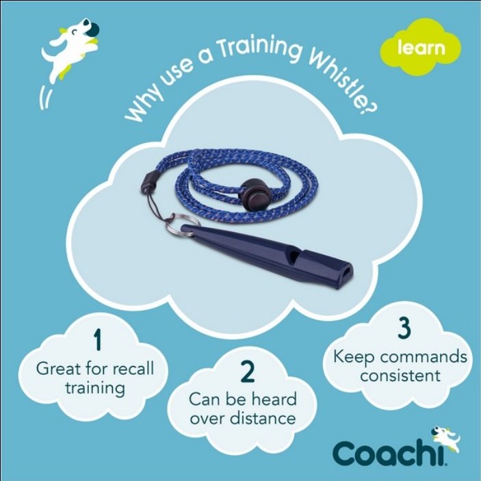 CoA Coachi Training Whistle Navy - The Urban Pet Store - Dog Supplies