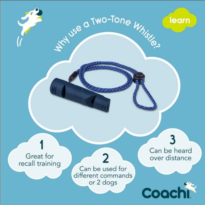 CoA Coachi Two-Tone Whistle Navy - The Urban Pet Store - Dog Supplies