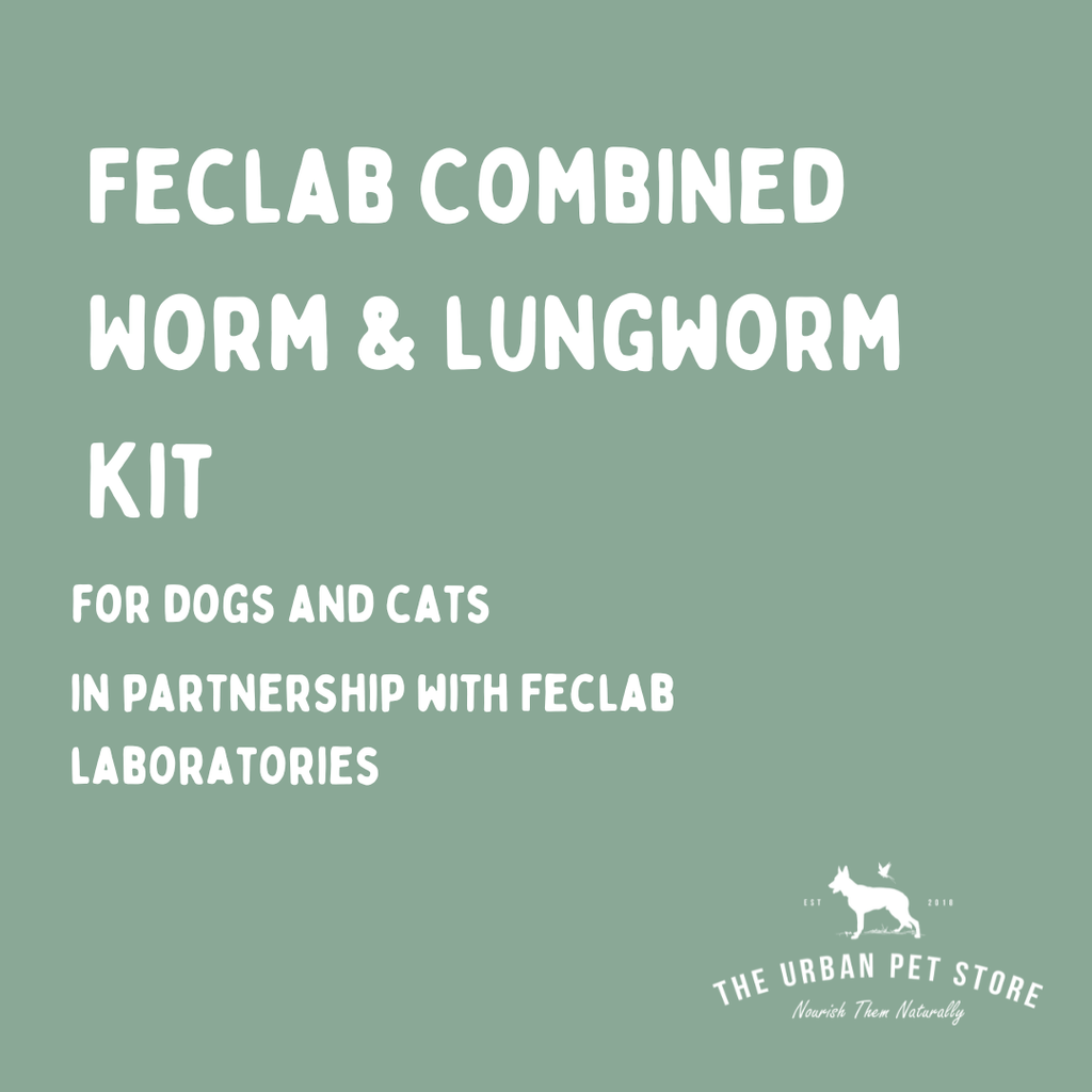 Feclab Combined Worm and Lungworm Kit - The Urban Pet Store - Dog Supplies