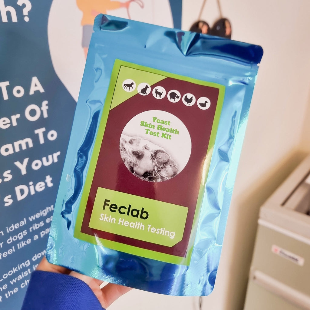 Feclab Yeast Dermatitis Kit - The Urban Pet Store - Dog Supplies