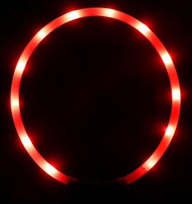 Flashing LED Collar with Rechargeable USB (4 Colours) - The Urban Pet Store - Dog SuppliesAnimate05055165538405