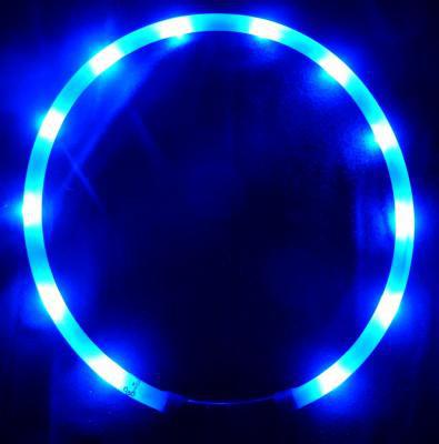 Flashing LED Collar with Rechargeable USB (4 Colours) - The Urban Pet Store -