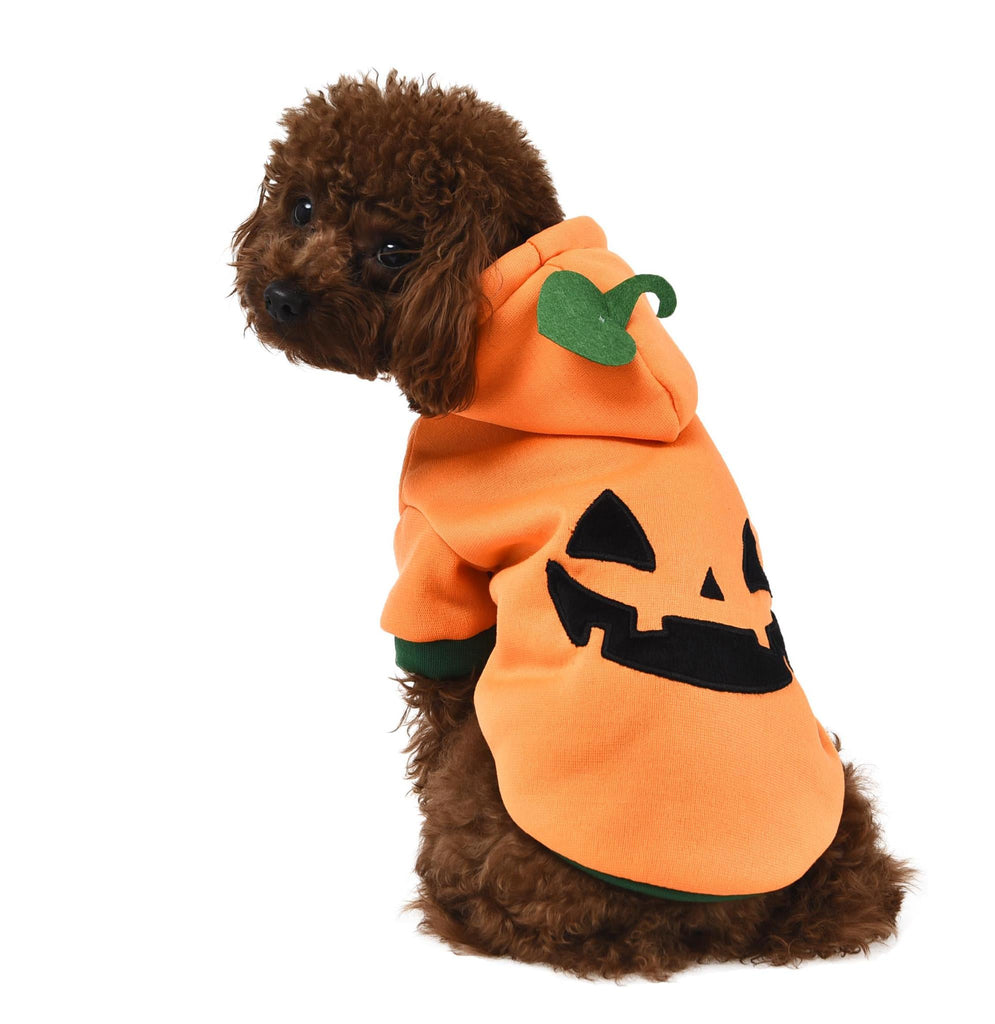 Halloween Pumpkin Hoodie for Dogs - The Urban Pet Store - Dog Apparel