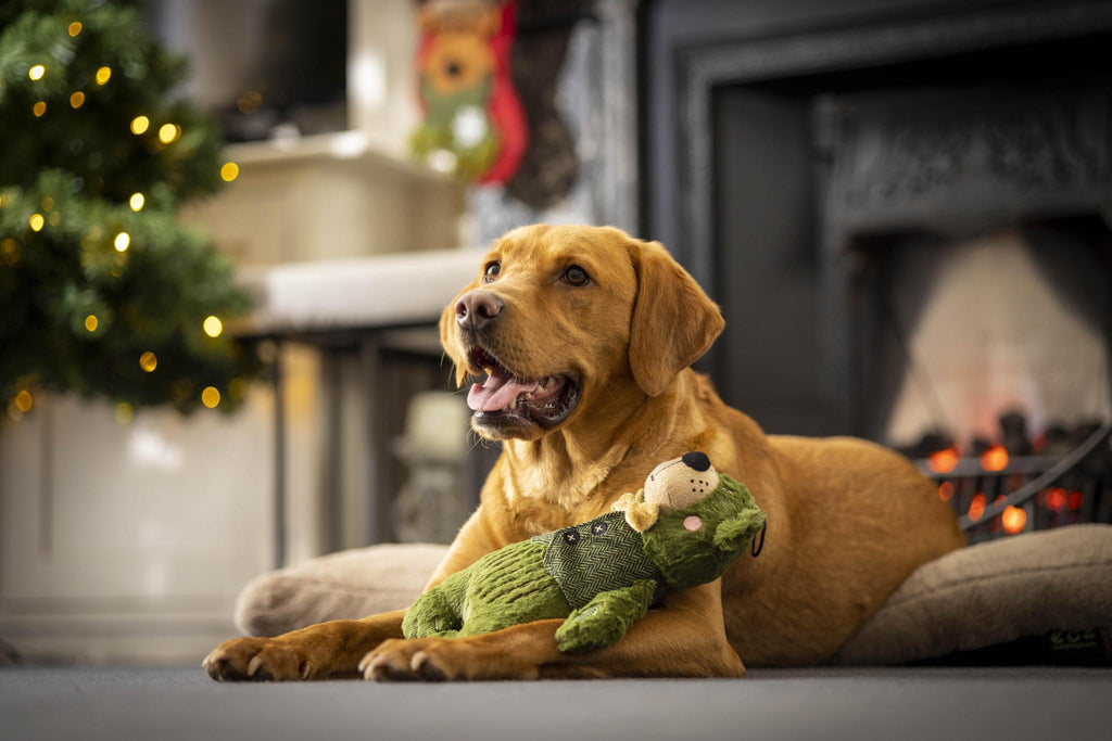 House of Paws Green Bear Dog Toy - The Urban Pet Store -