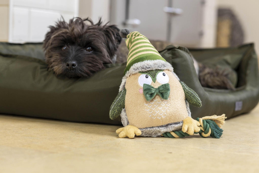 House of Paws Green Owl Dog Toy - The Urban Pet Store -