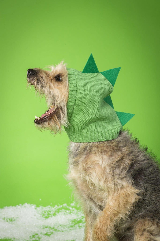 House of Paws Knitted Dino Snood - The Urban Pet Store -