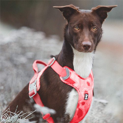 Hurtta Weekend Warrior Harness, Coral Camo - The Urban Pet Store -